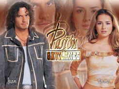 Pasión de gavilanes