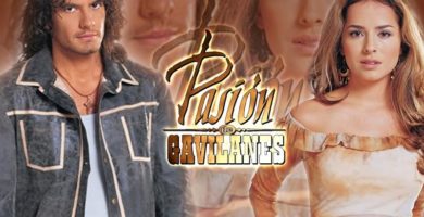 Pasión de gavilanes