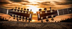 Tipos de guitarras