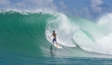 Surf