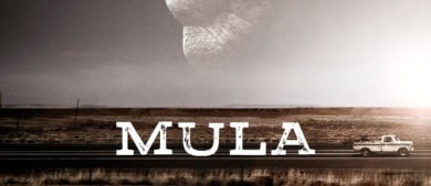 Mula