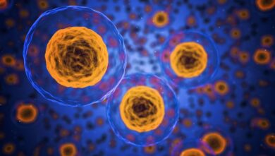 Se confirma una variable menos letal del coronavirus