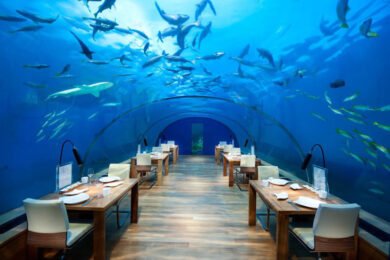 Los restaurantes mas raros del mundo