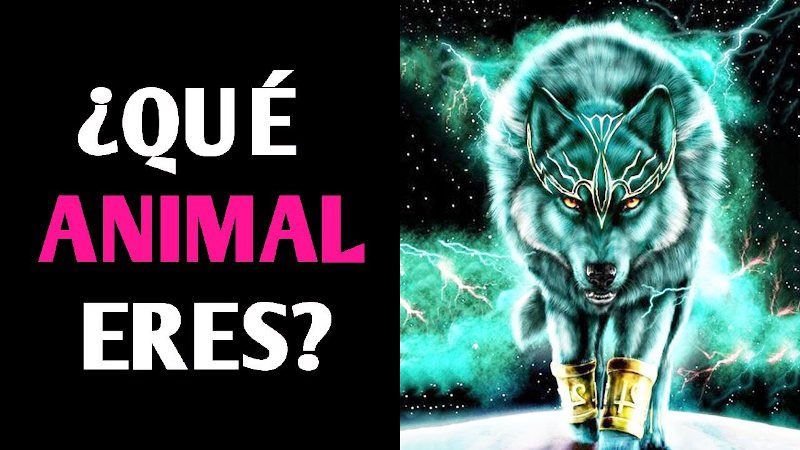 Test: ¿Qué animal eres?