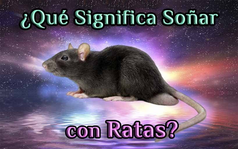 Qué Significa Soñar Con Ratas