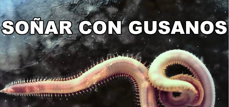 Soñar con gusanos