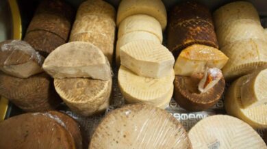 Quesos Artesanos: Tradición, Sabor y Calidad en Cada Bocado